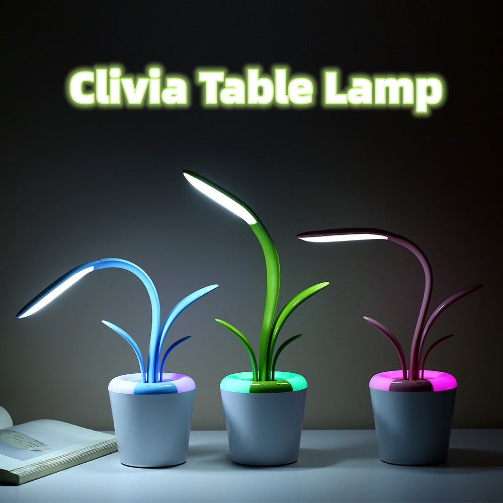 Modern Desk USB Lamp
